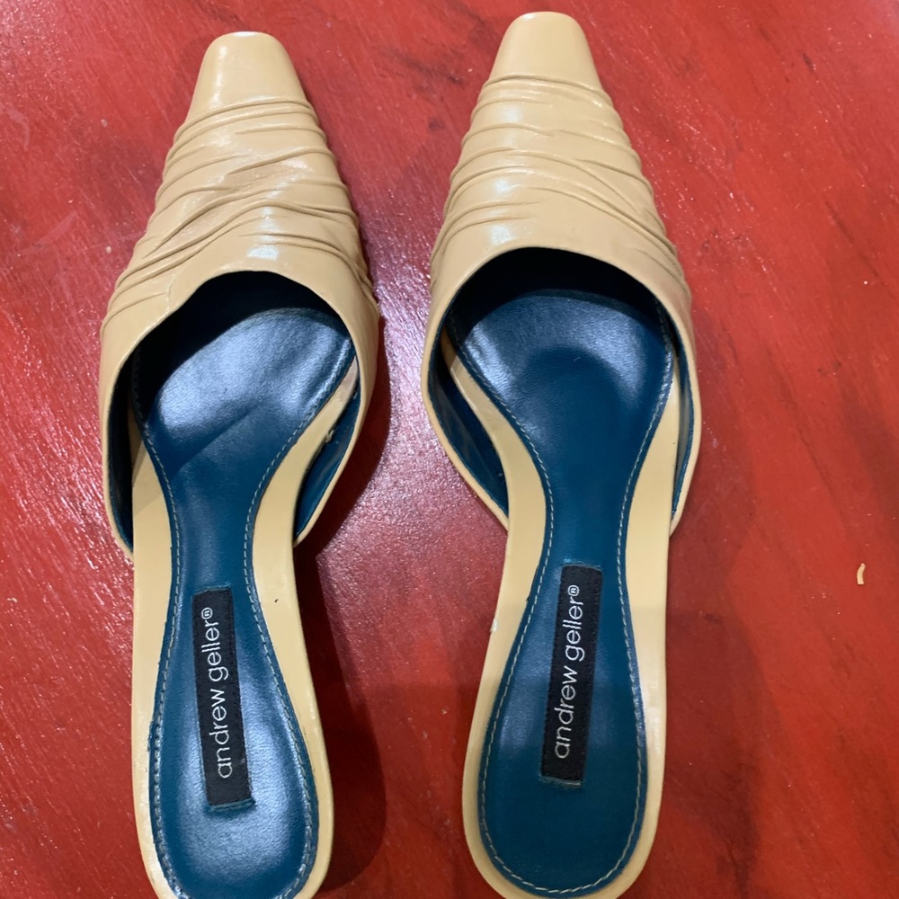 Ladies Andrew Geller shoes